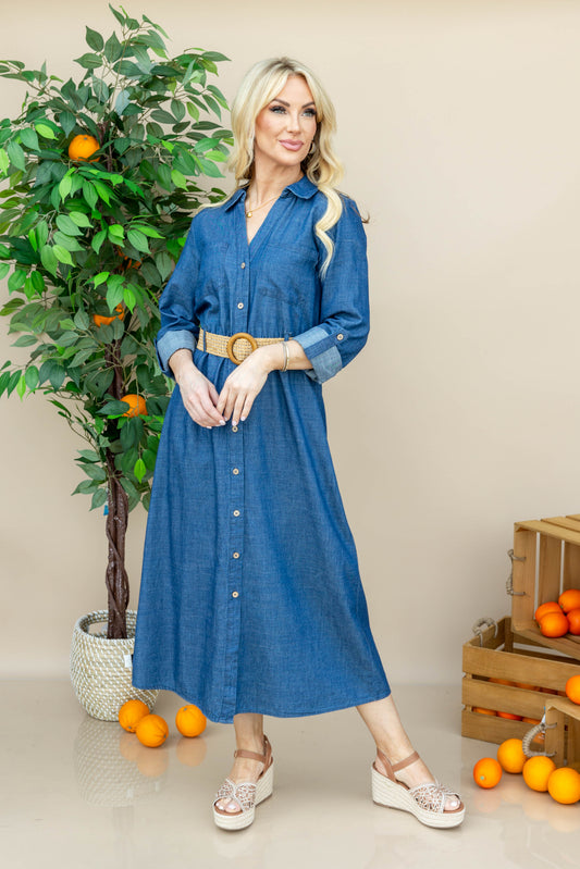 Denim Diva Belted Dress
