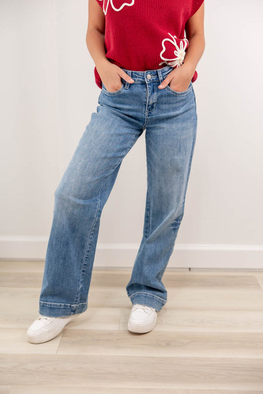 Serendipity Blues Classic Non-Distressed Mid Rise Jeans