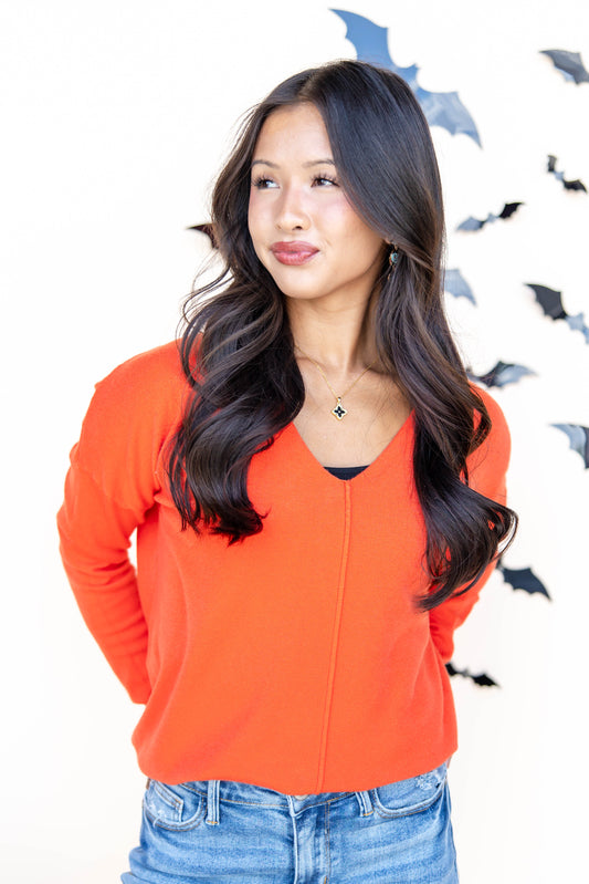 Cozy Trails Long Sleeve Knit Top