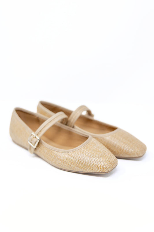 Sole Sister Ballet Flats