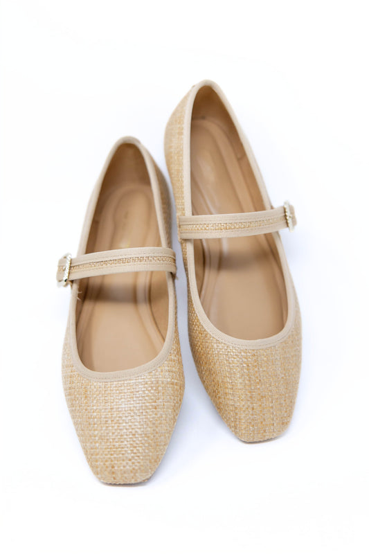 Sole Sister Ballet Flats