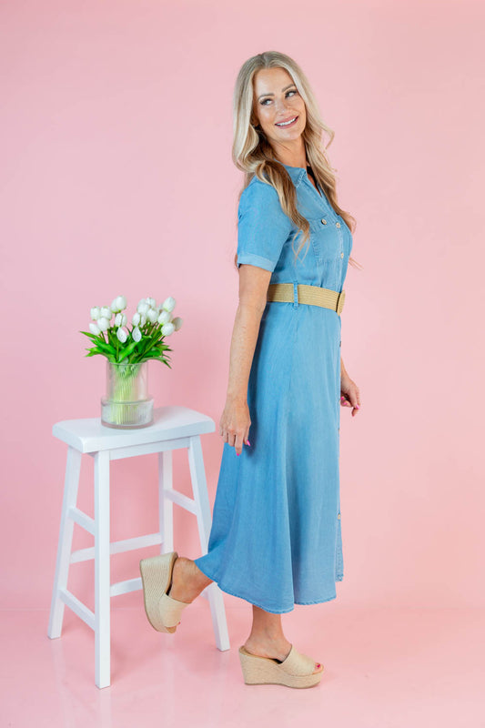 Denim Dream Belted Dress