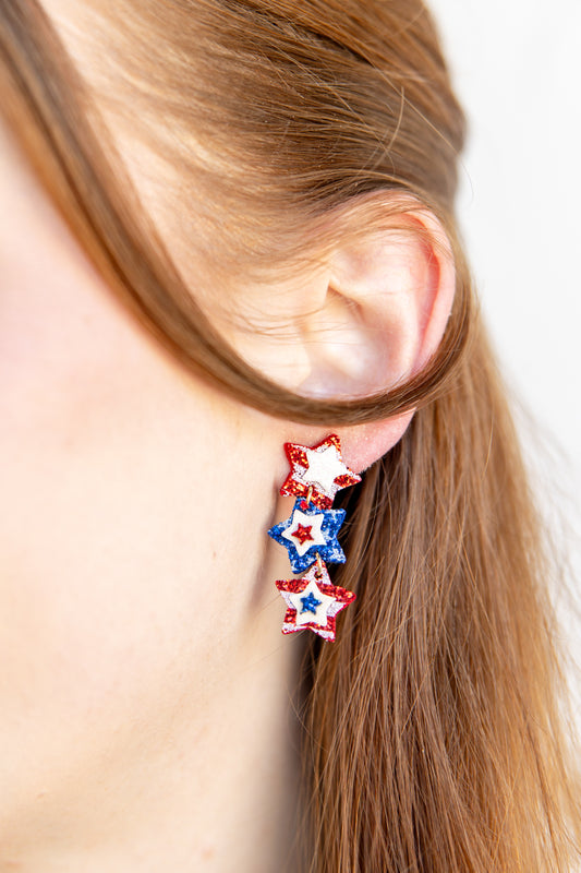 Celebrate With Sparkles Sequin Earrings