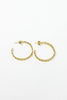 Golden Drip Hoop Earrings