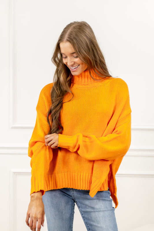 Snuggle Cove Turtle Neck Sweater