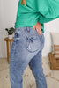 Judy Blue Reg/Plus Slayin' It Slim Fit Jeans