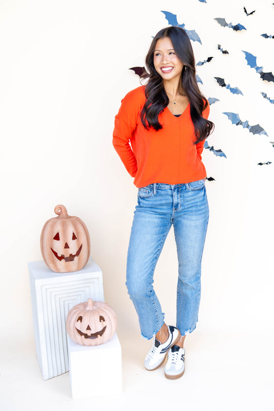 Cozy Trails Long Sleeve Knit Top