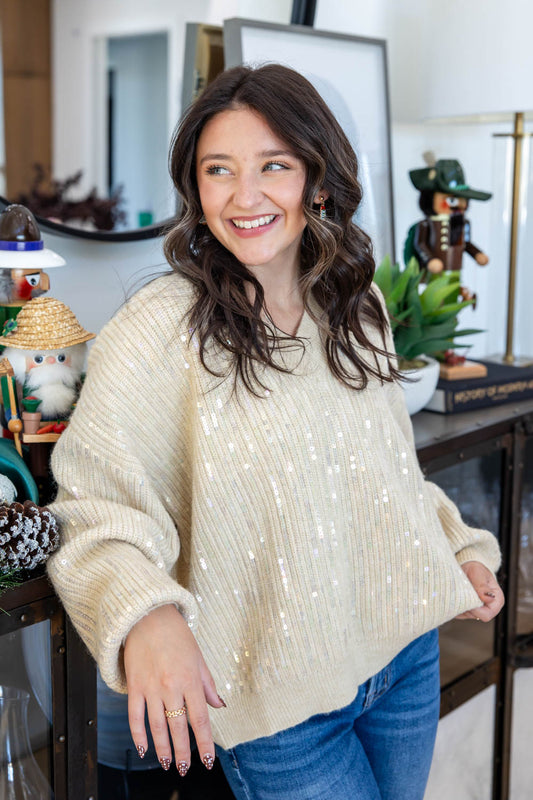 All That Glitters V-Neck Sequins Sweater