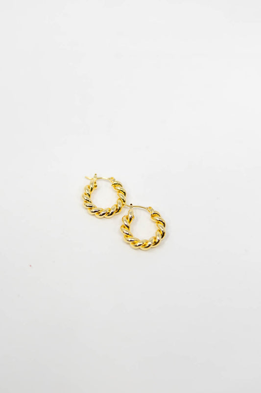 Eternal Shine Twisted Hoop Earrings