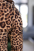 Wild Card Cozy Long Sleeve Sheer Top